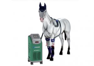 Horse health Zamar machine